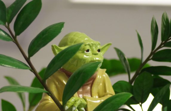 Image of Star Wars' Yoda